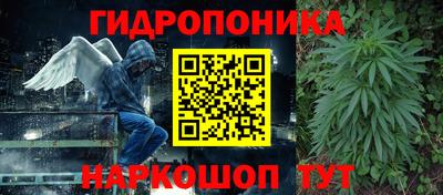 шишки Краснознаменск