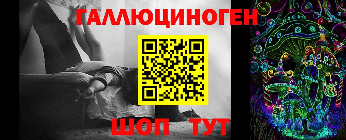Псилоцибиновые грибы GOLDEN TEACHER  Вход с VPN  Псилоцибиновые грибы GOLDEN TEACHER  Камень-на-Оби 