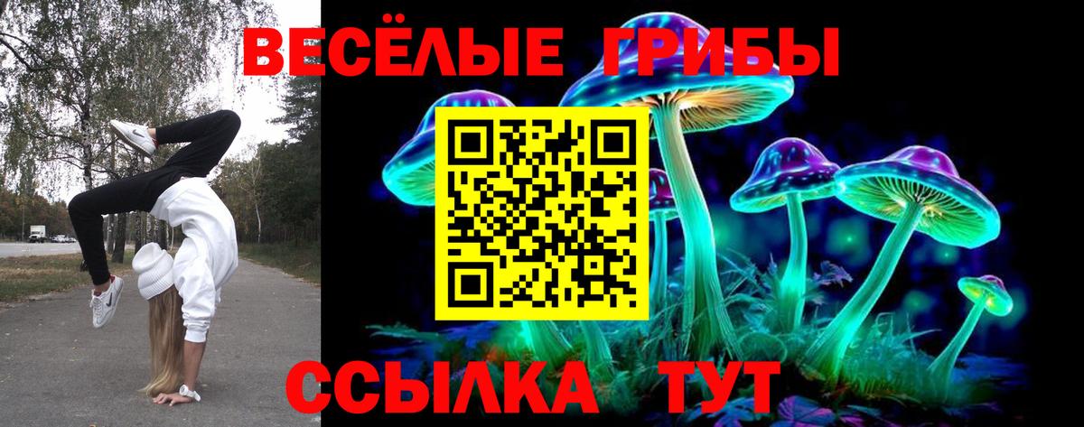 Галлюциногенные грибы прущие грибы Камень-на-Оби